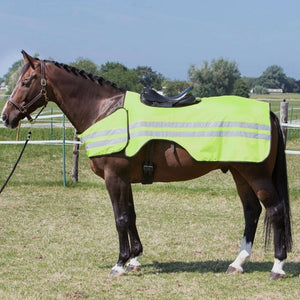 Harry's Horse Coperta da esercizio Reflective Riflettente