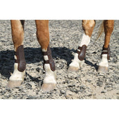 Harry's Horse Stinchiere Percy Air Marrone