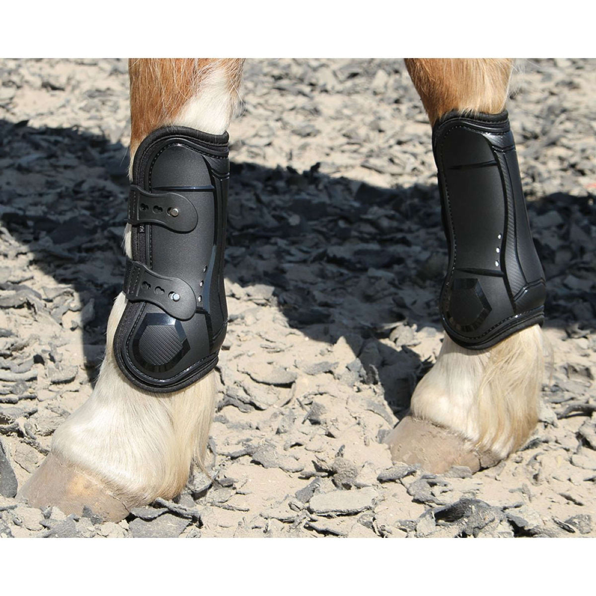 Harry's Horse Stinchiere Percy Air Nero