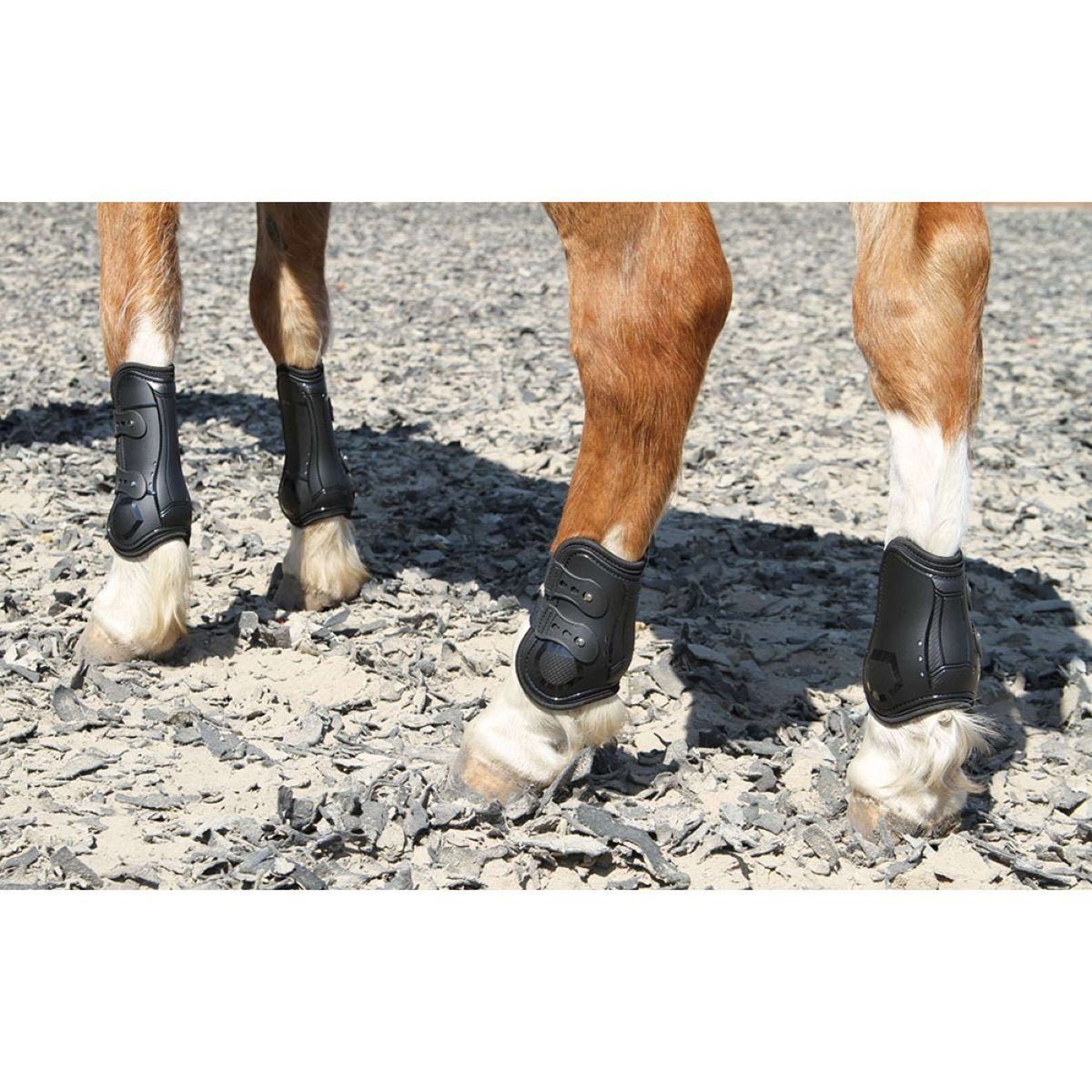 Harry's Horse Stinchiere Percy Air Nero