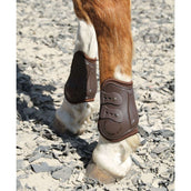Harry's Horse Stinchiere Percy Air Marrone
