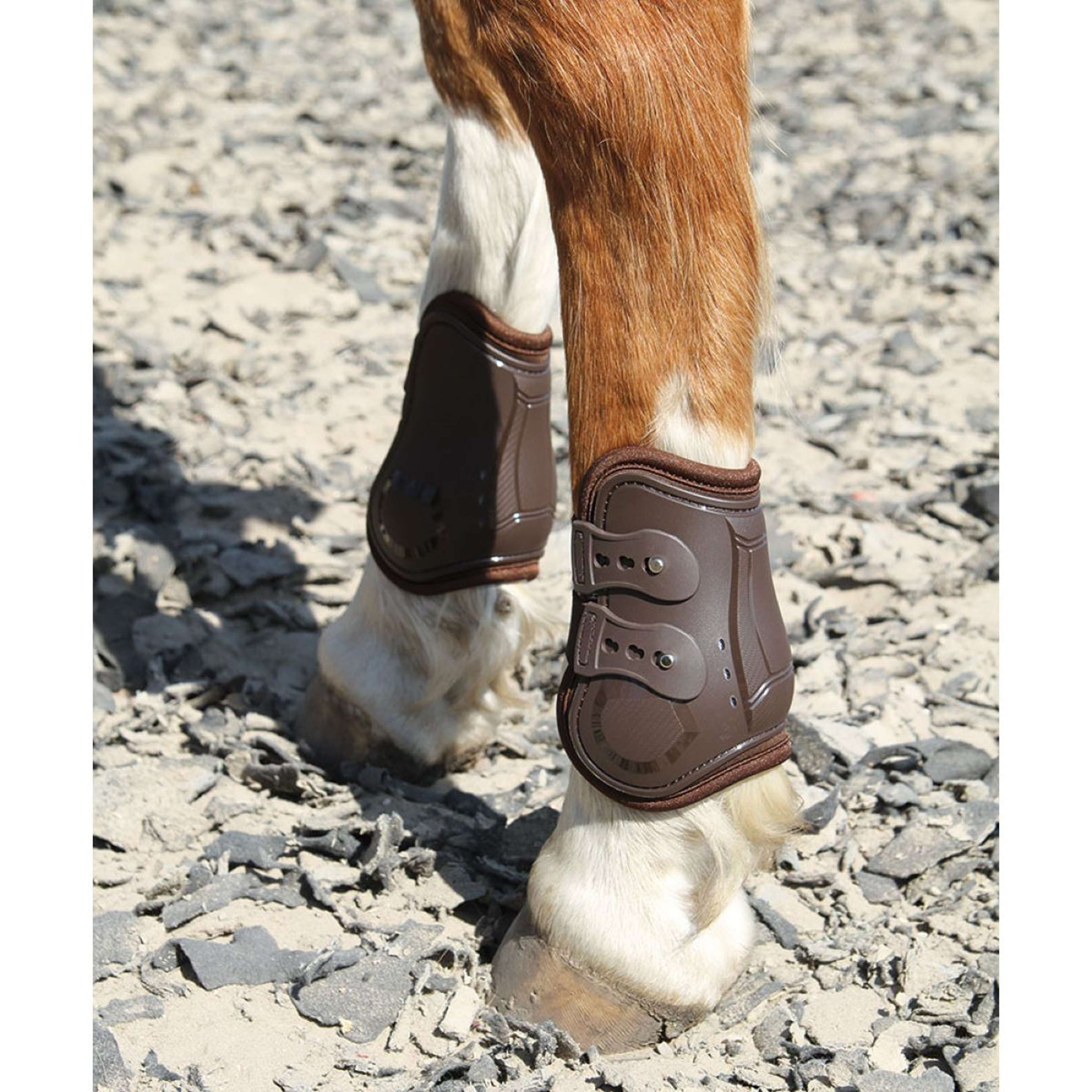 Harry's Horse Stinchiere Percy Air Marrone Harry's Horse Stinchiere Percy Air Marrone