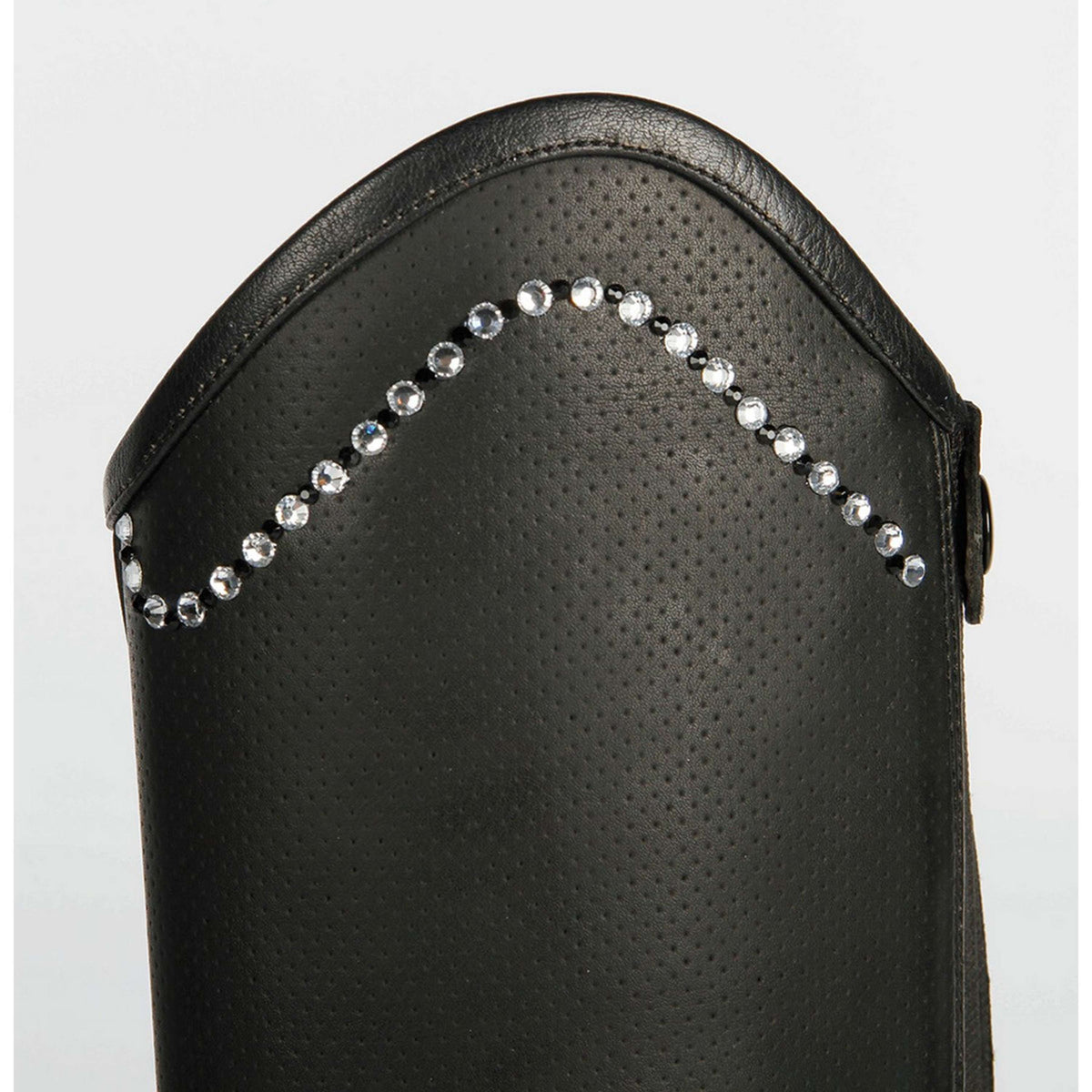 Harry's Horse Minichaps Asteroid Nero