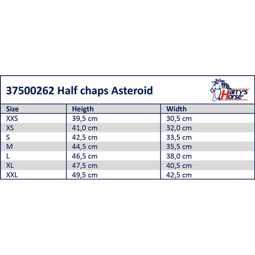 Harry's Horse Minichaps Asteroid Nero