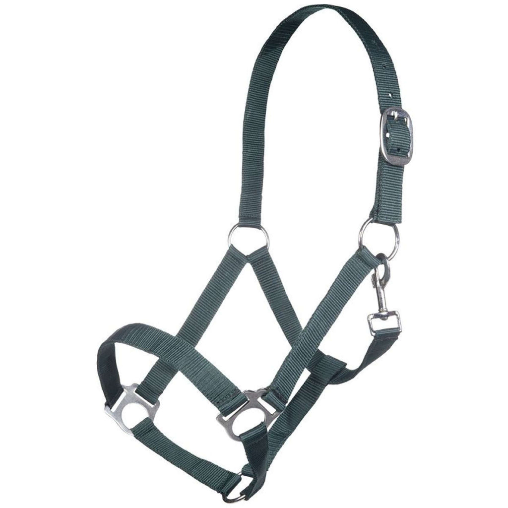 HKM Cavezza Brisbane Verde scuro