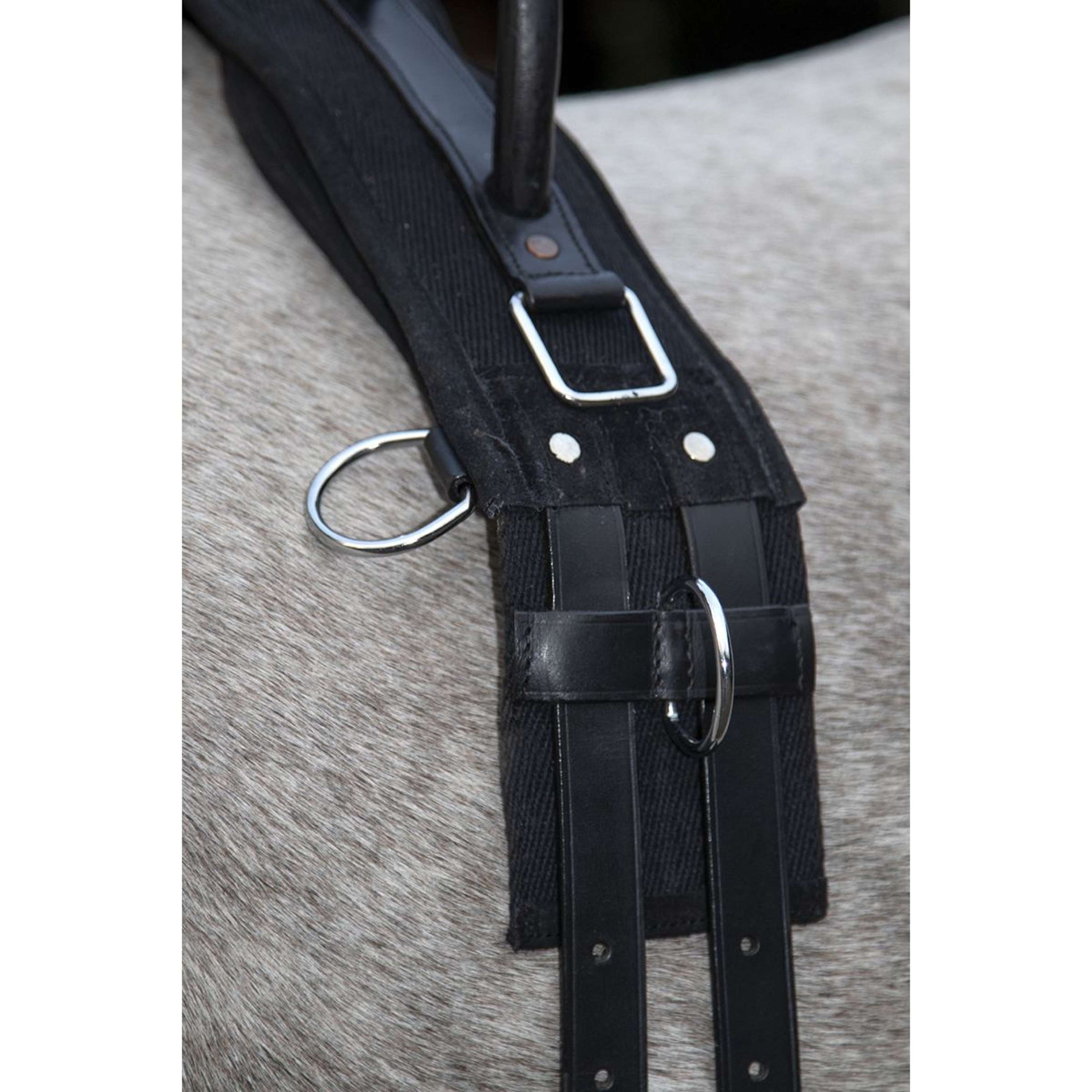 HKM Fascia da Addestramento Canvas Nero HKM Fascia da Addestramento Canvas Nero