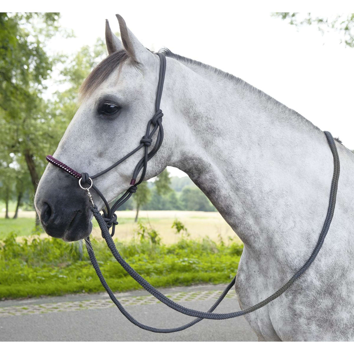 HKM Capestro in Corda Deko Grigio scuro/vite