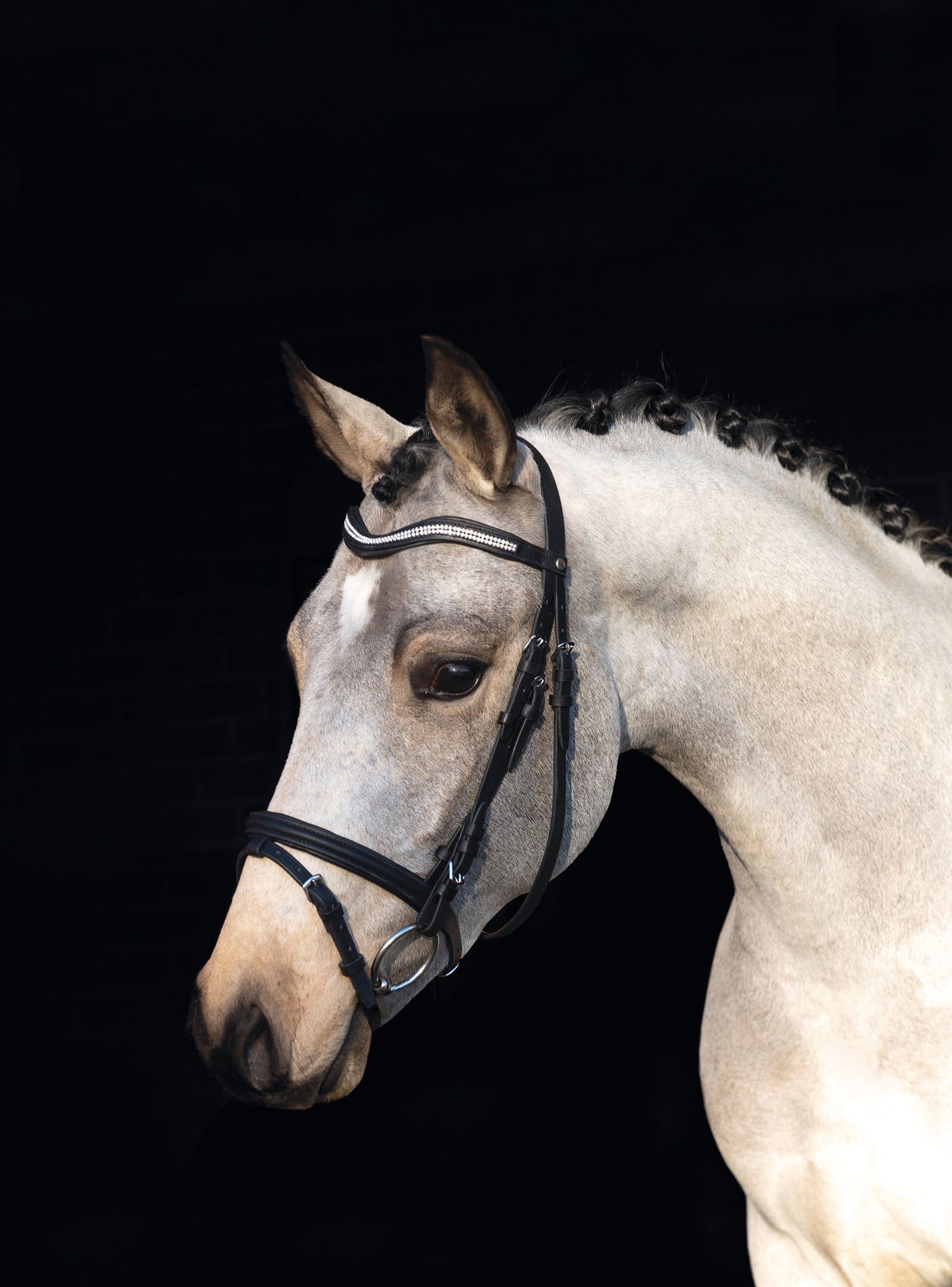 HKM Briglia Bijou Nero