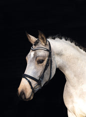 HKM Briglia Bijou Nero