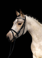 HKM Briglia Bijou Nero