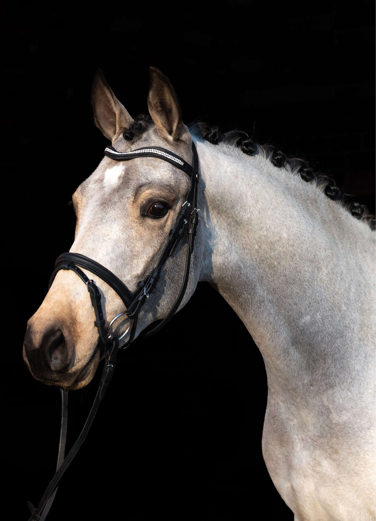 HKM Briglia Bijou Nero