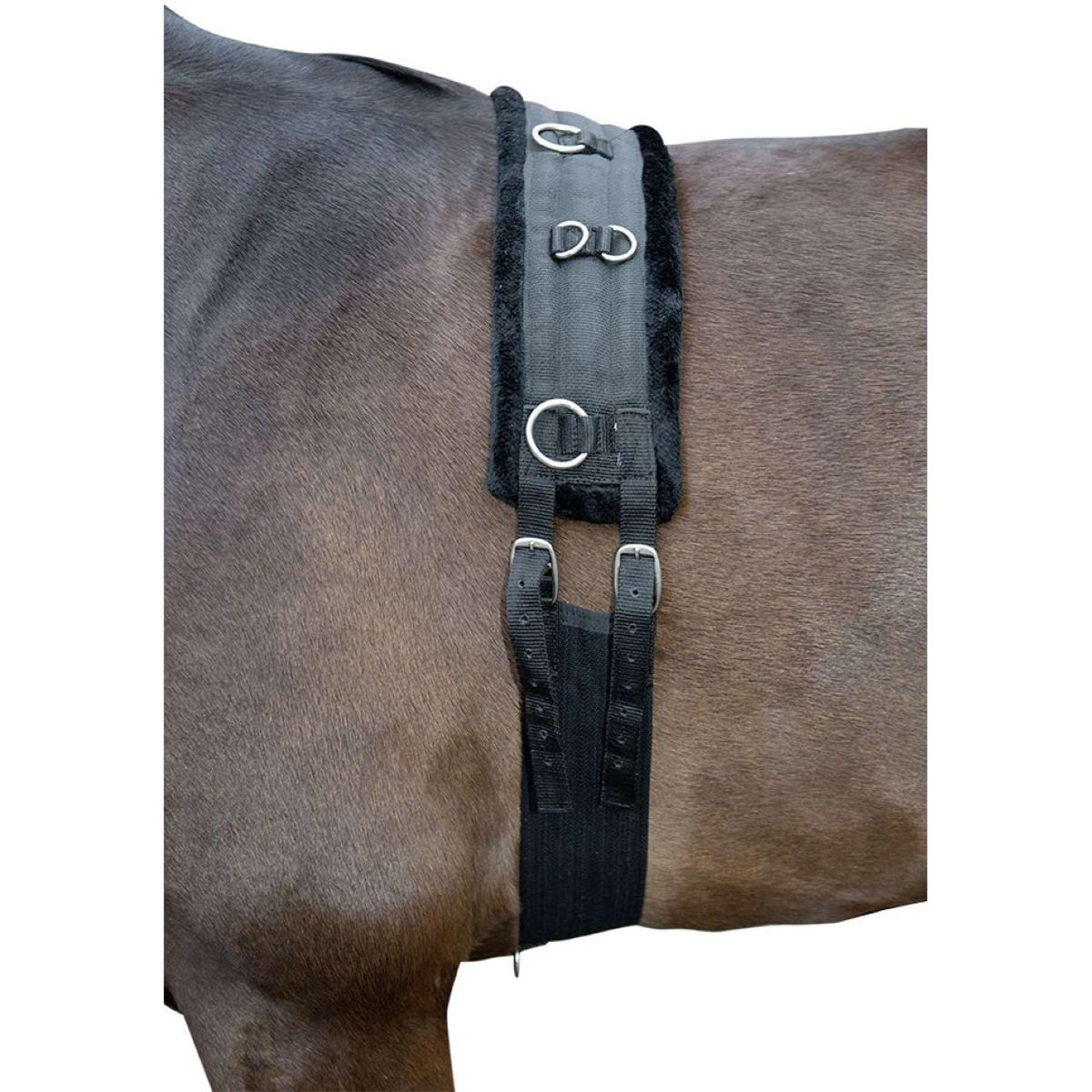 HKM Fascia da Addestramento Teddy Nero