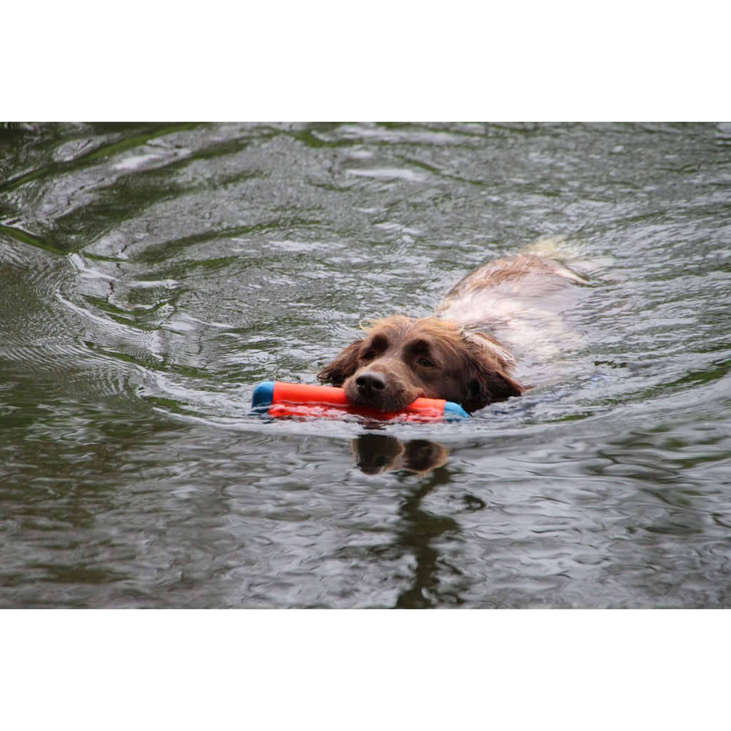 Chuckit Giocattoli da Addestramento Amphibious Bumper