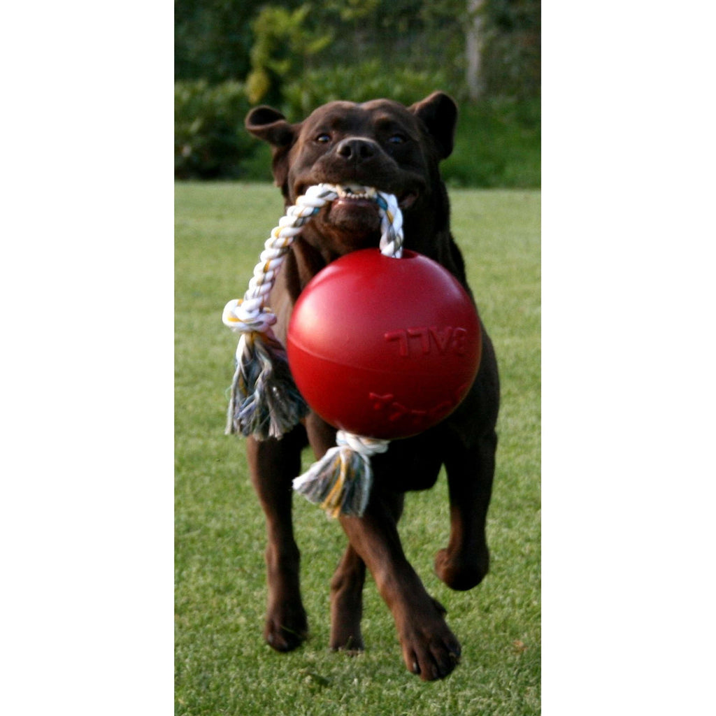Jolly Ball Giocattolo per Cani Romp-n-Roll Baby Blu