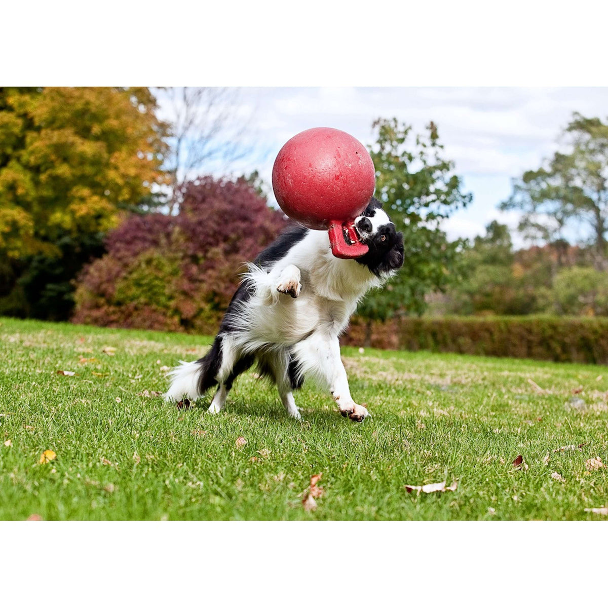 Jolly Ball Pallone da Gioco Tug-n-Toss Blu