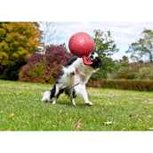Jolly Ball Pallone da Gioco Tug-n-Toss Blu