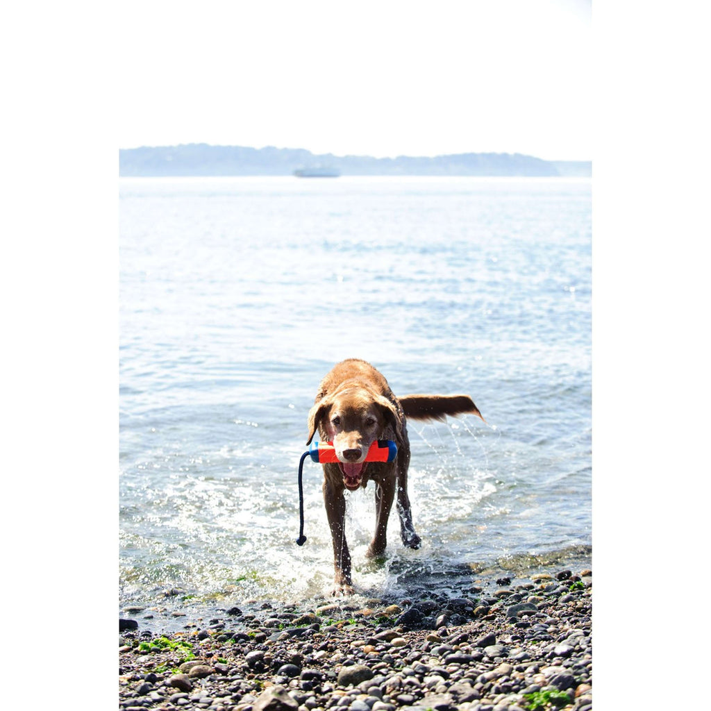 Chuckit Giocattoli da Addestramento Amphibious Bumper