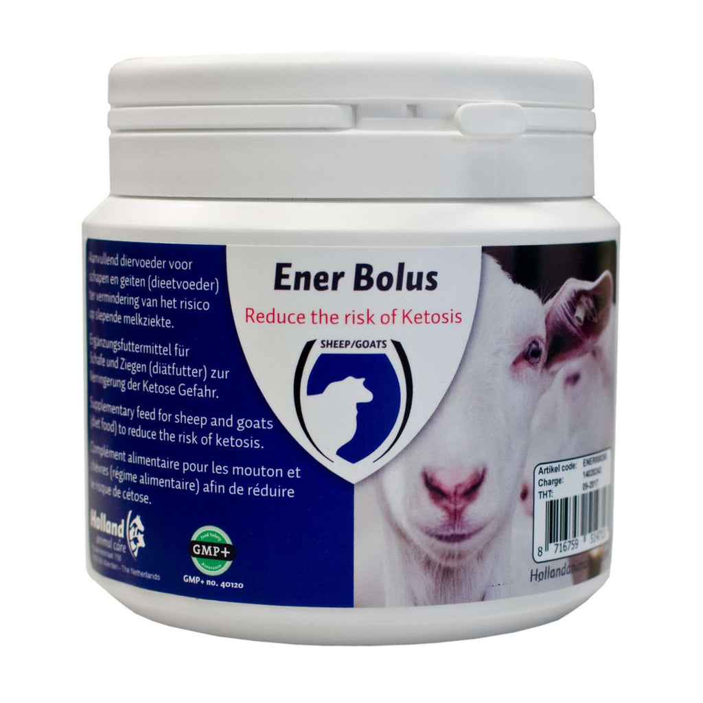 Excellent Bolo energetico