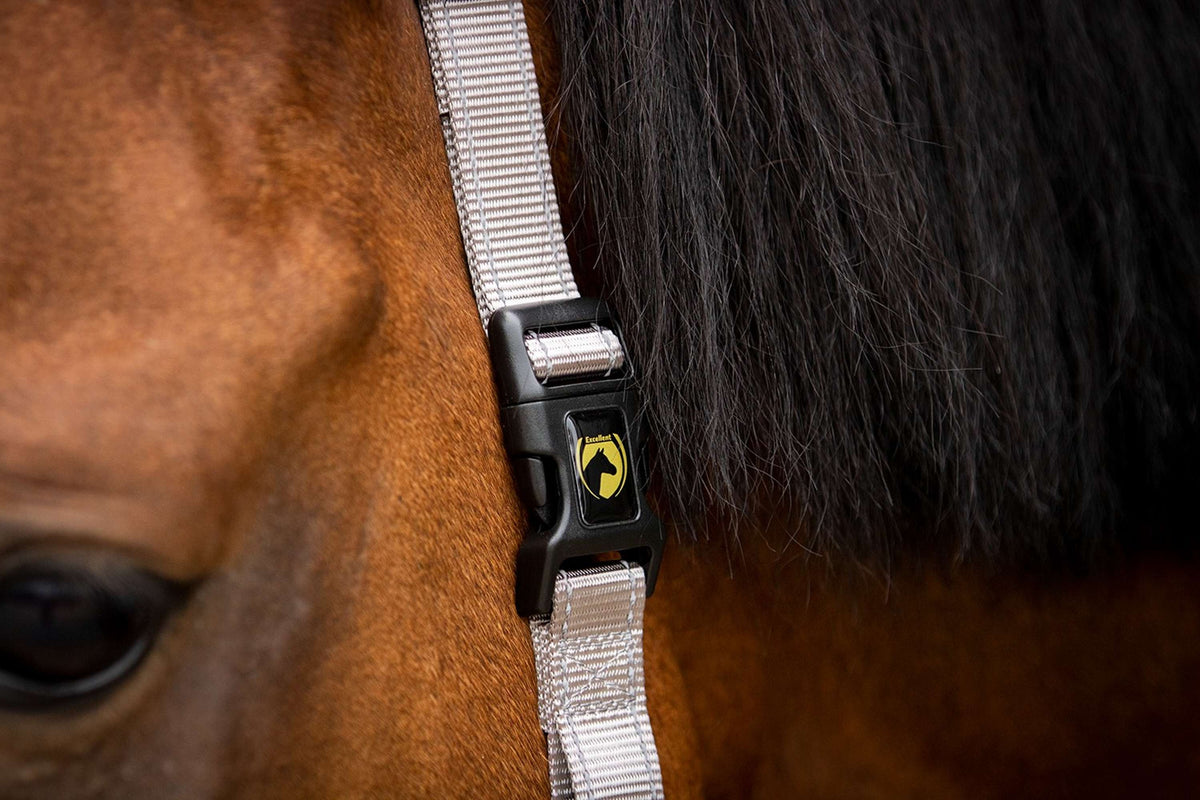 Excellent Capezzina Superior Grigio