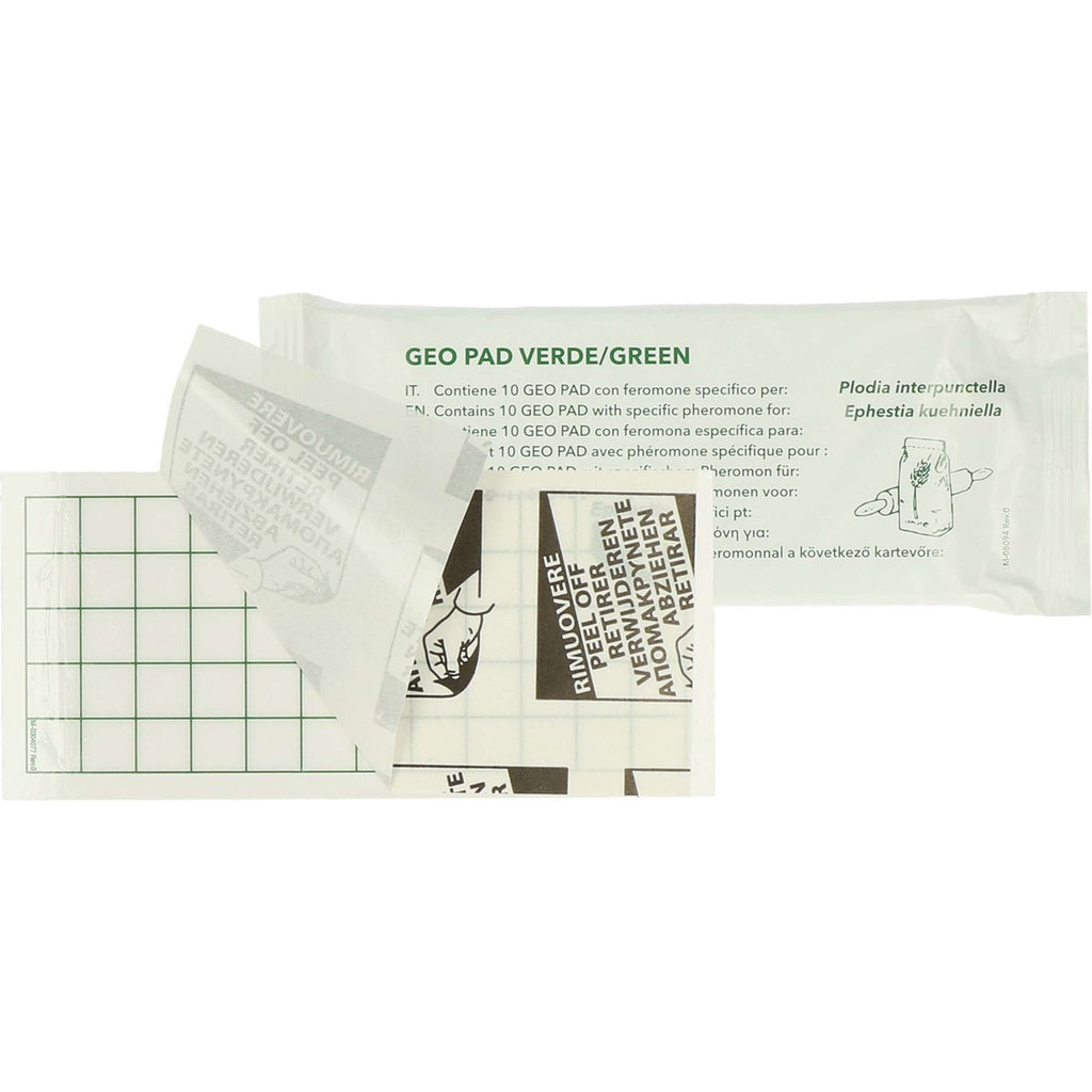 Hofman Pest Control Geo Pantry Moth Glue Pad Ephestia/Plodia