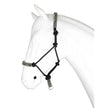 Bianco di base