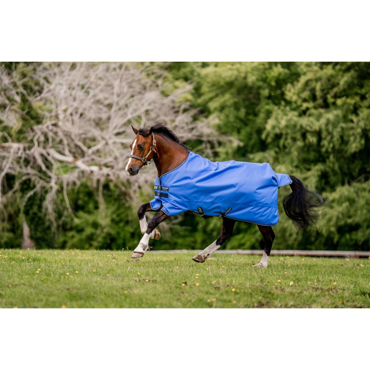 Amigo Hero Ripstop Lite 0g Blu/blu marino