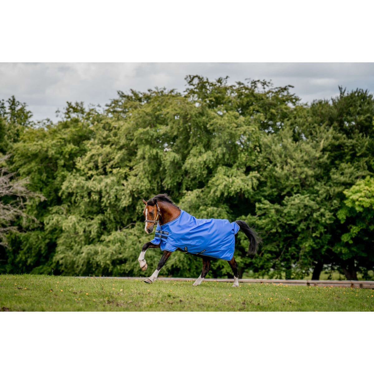 Amigo by Horseware Eroe Ripstop Lite 0g Blu/blu marino