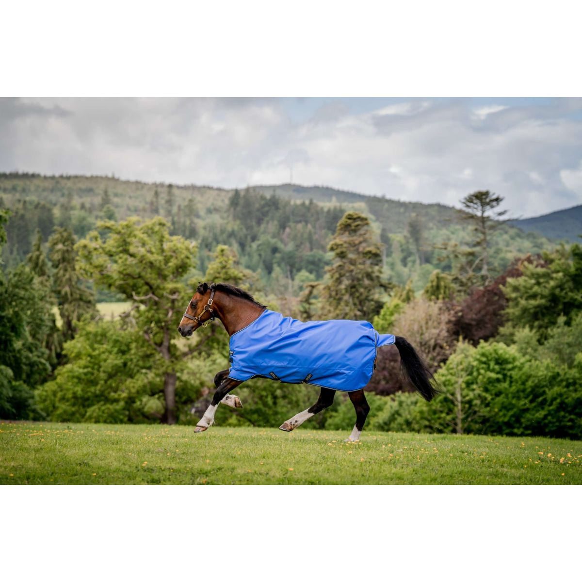 Amigo by Horseware Eroe Ripstop Lite 0g Blu/blu marino