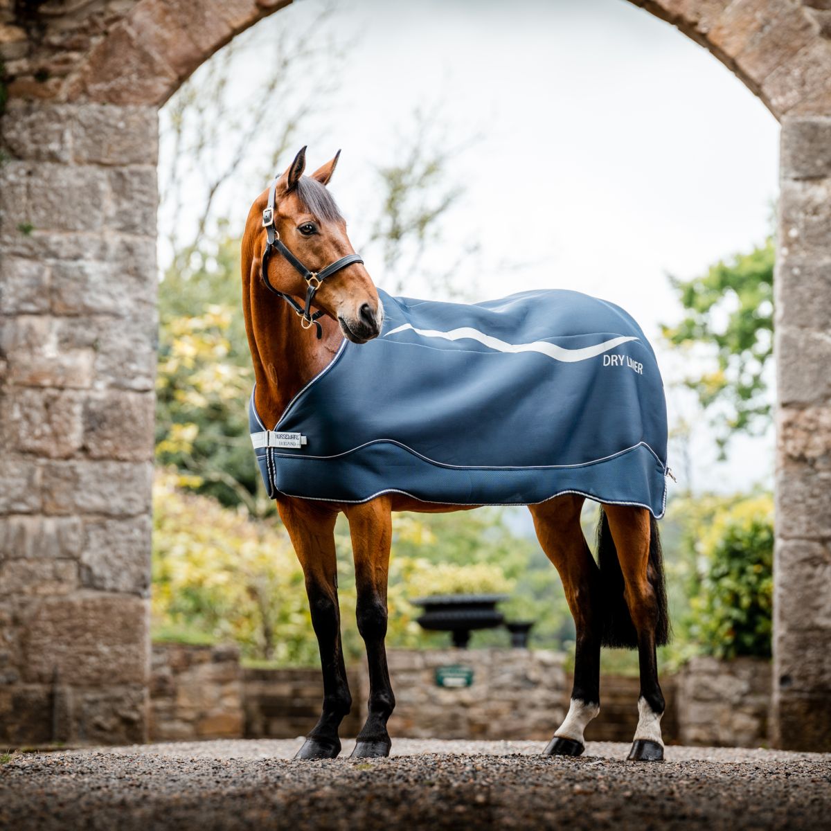 Horseware Dry Liner Blu marino/Argento