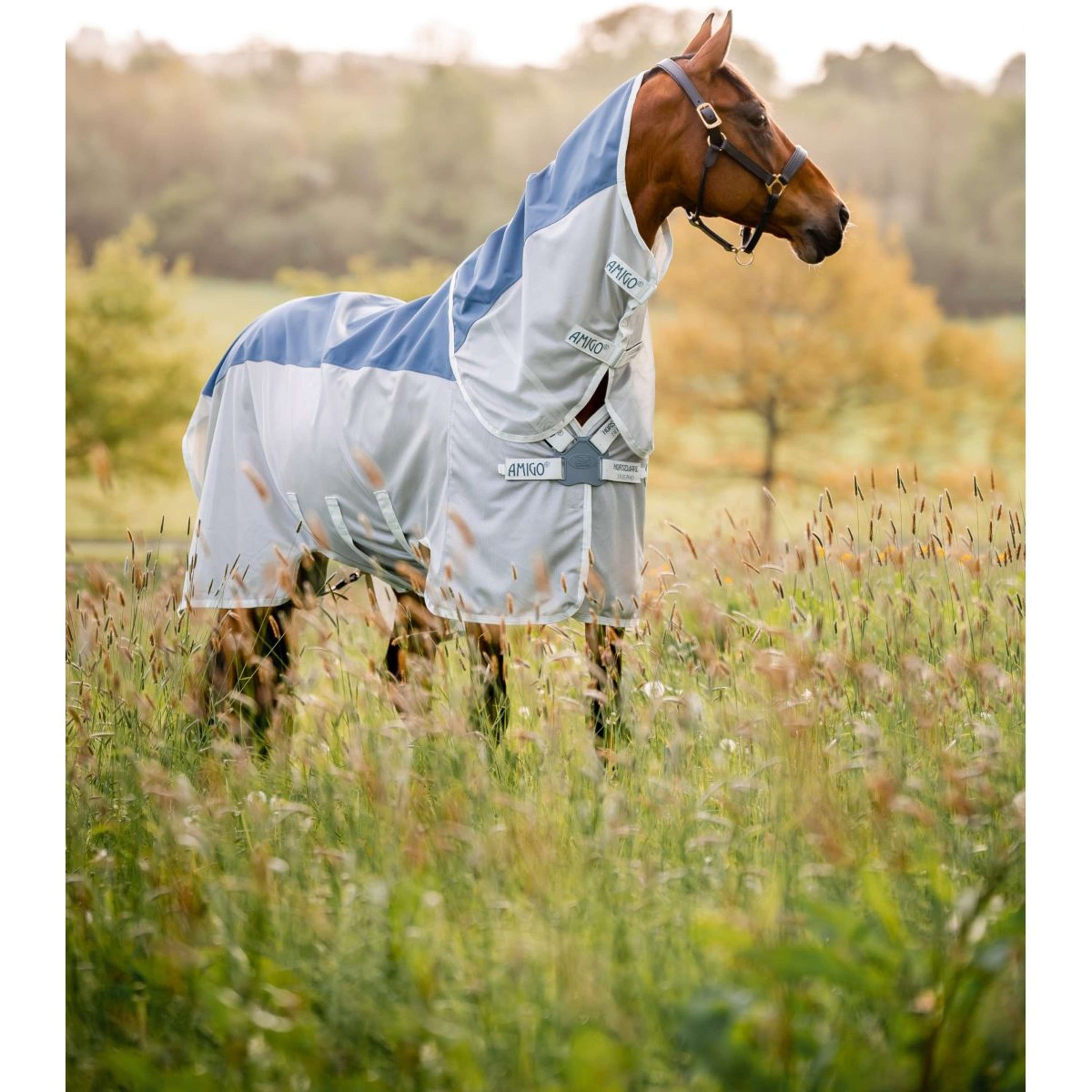 Amigo Coperta Impermeabile AmECO Combi Verde acqua/Grigio Amigo Coperta Impermeabile AmECO Combi Verde acqua/Grigio