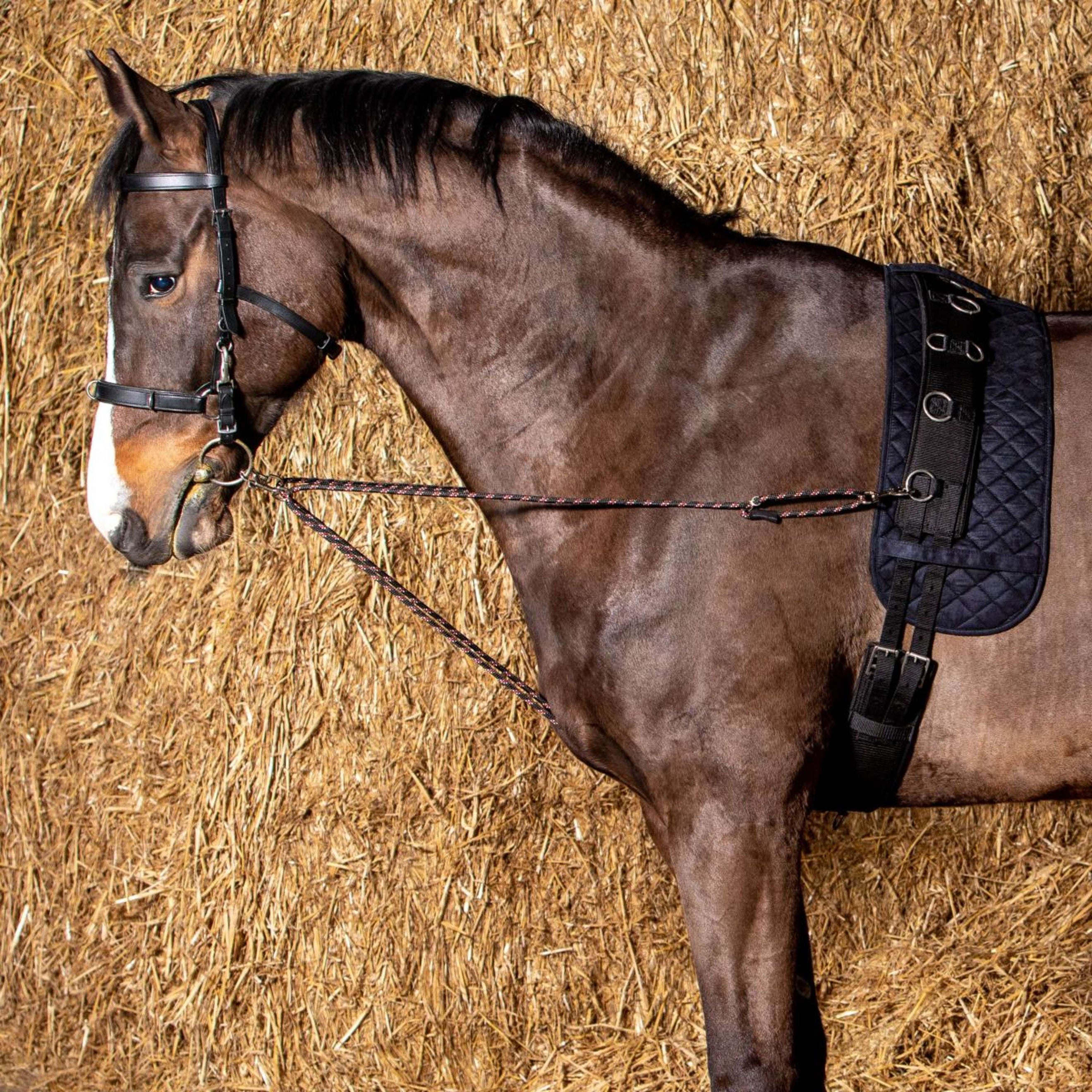 Harry's Horse Linea da Longe V-line Nero Harry's Horse Linea da Longe V-line Nero