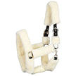 Harry's Horse Cavezza Teddy