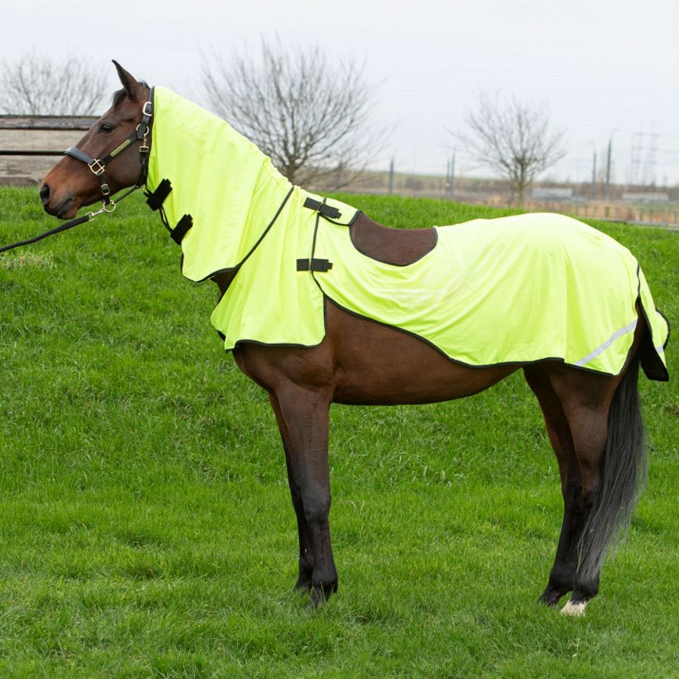 Harry's Horse Coperta Antimosche da Passeggio Mesh Pro Giallo