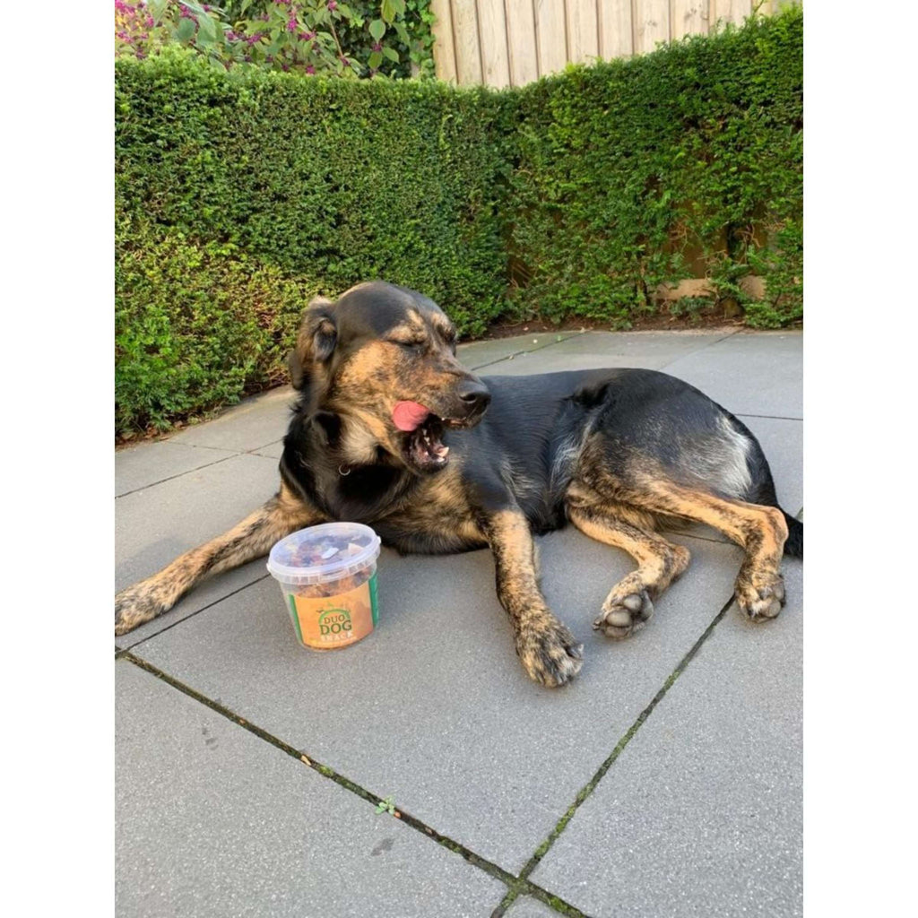 Duo Dog Snack per Cani