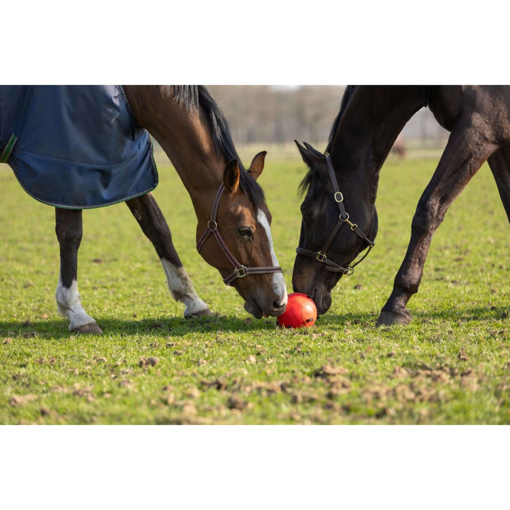 Maximus Palla Fun Play Blu