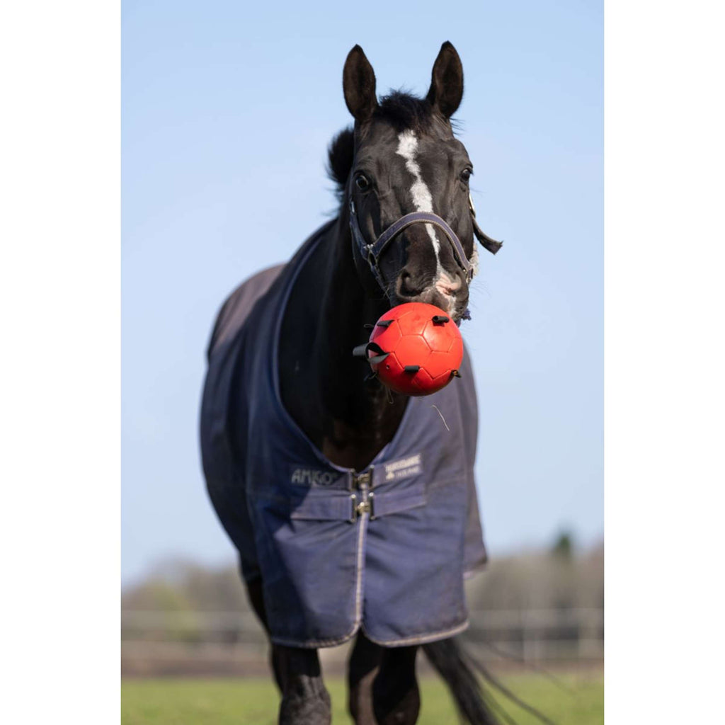 Maximus Palla Fun Play Blu