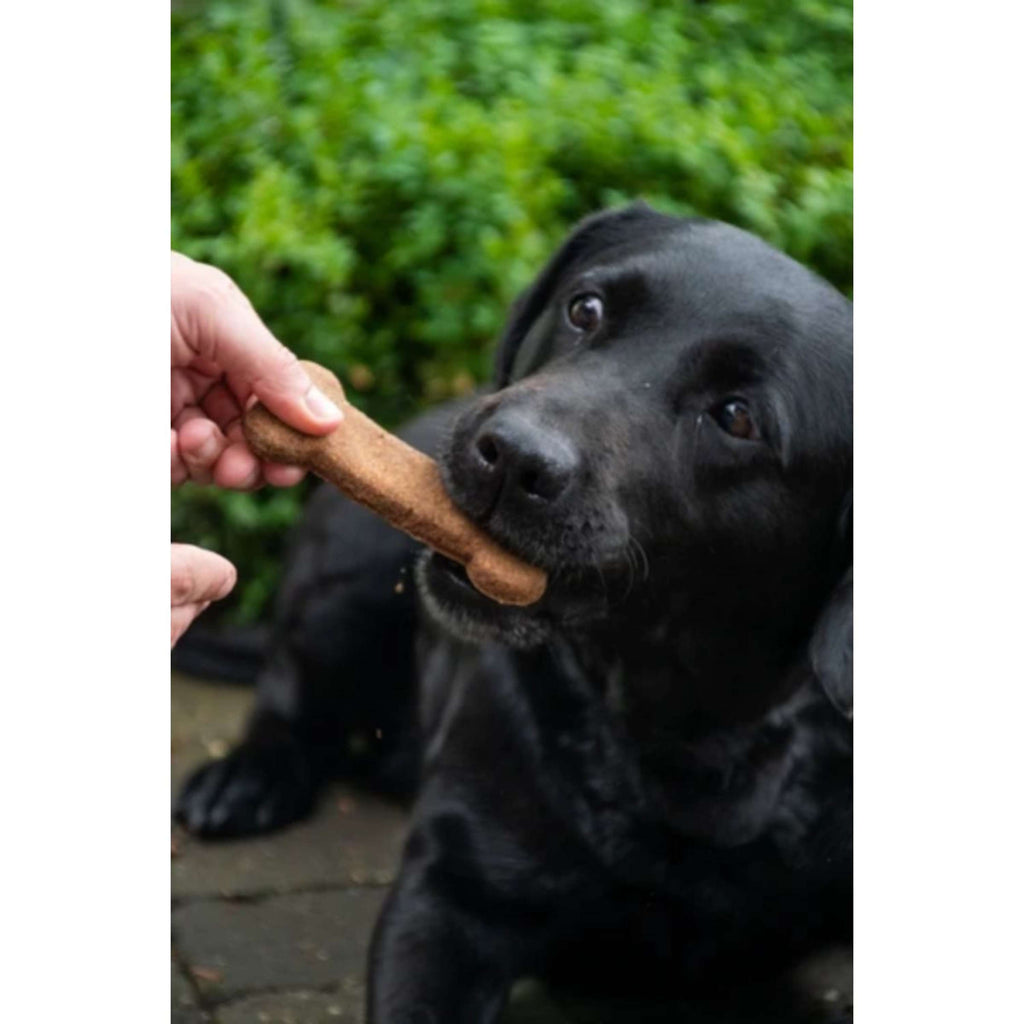 Bugbone Snack per Cani