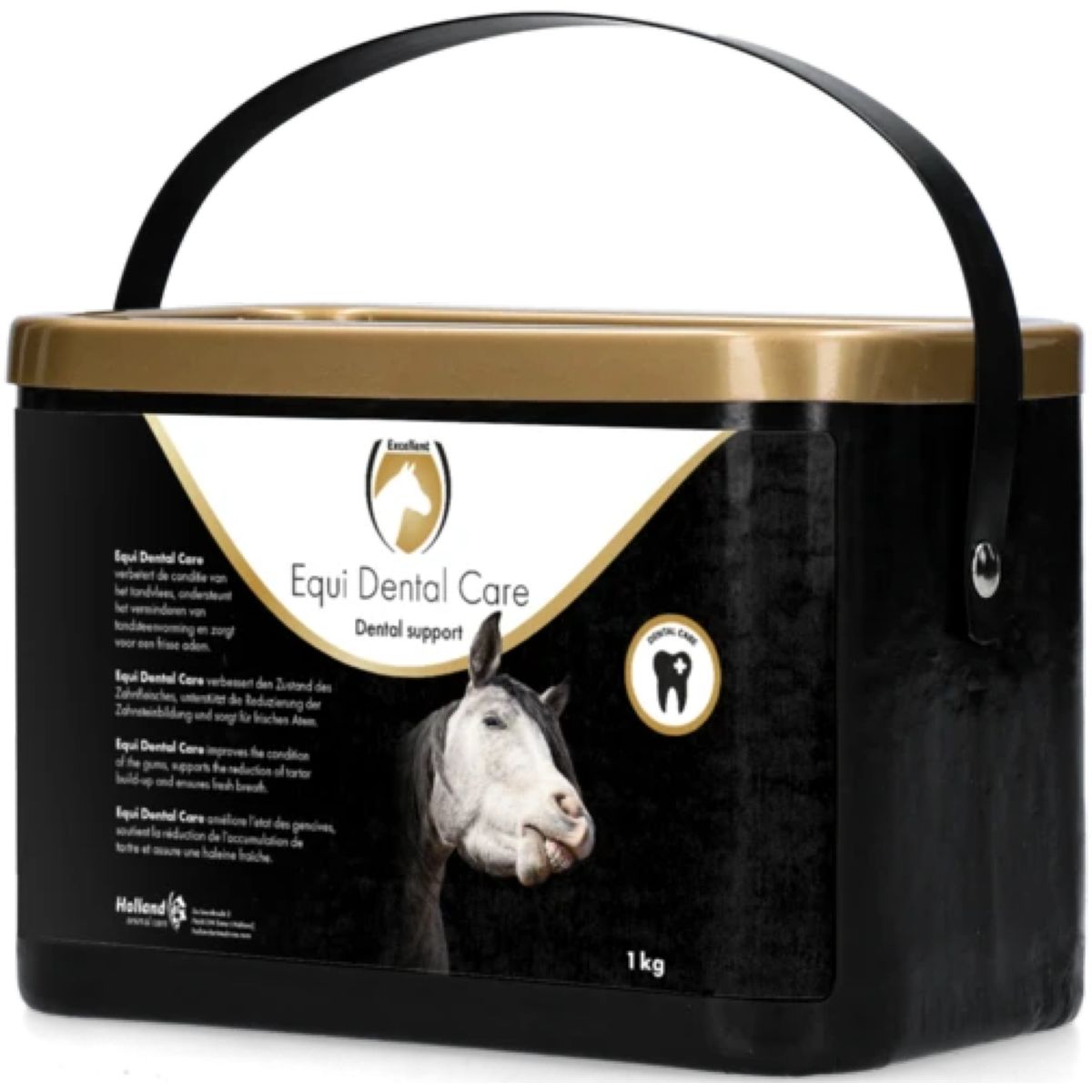Excellent Equi cure dentistiche