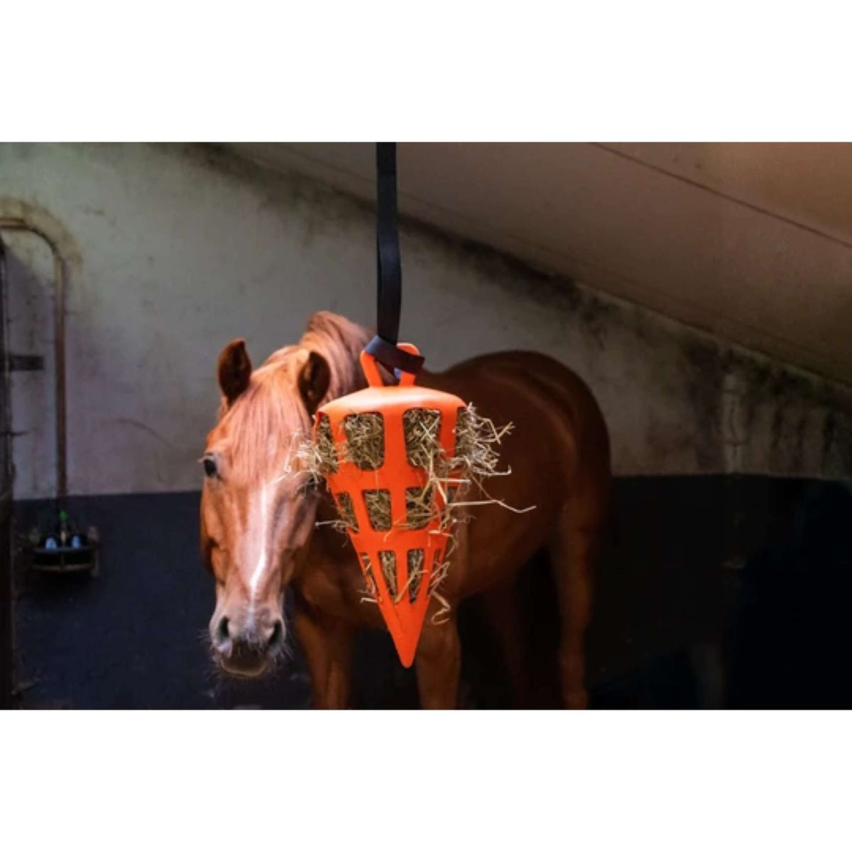 Excellent Slowfeeder Fun and Flex Carota Arancia