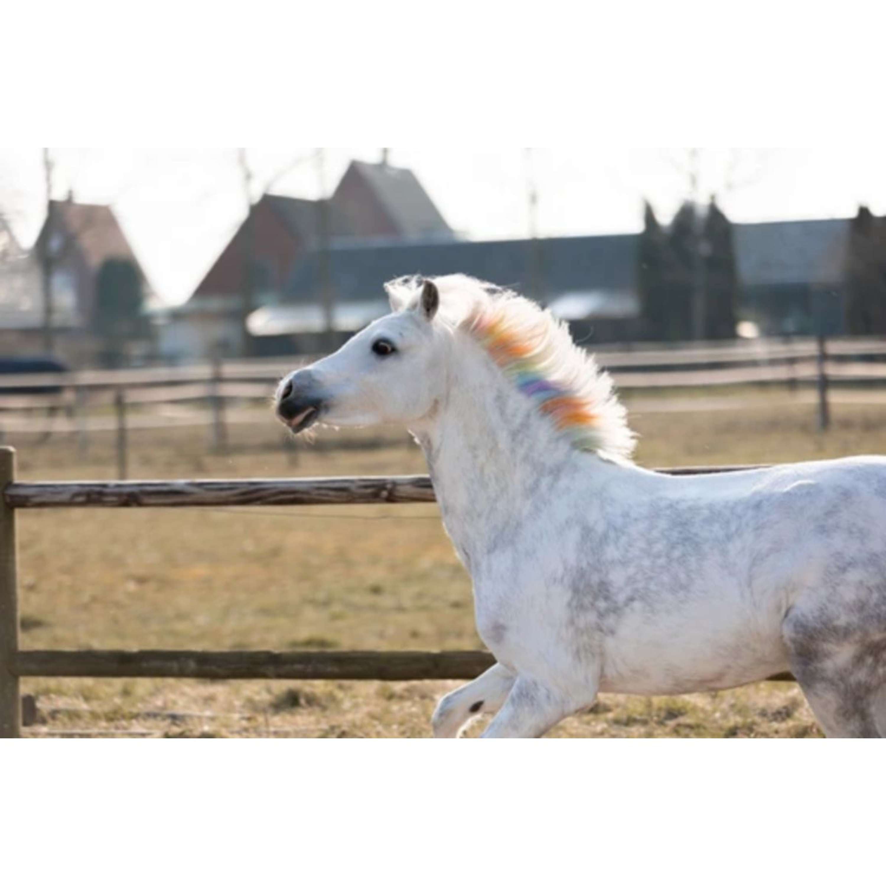 Lucky Horse Gessetto colorato Unicorn Arcobaleno