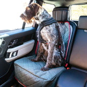 KONG Cintura per cane/gatto Swivel Tether Nero