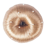 HORKA Retina per capelli Pearl Blond