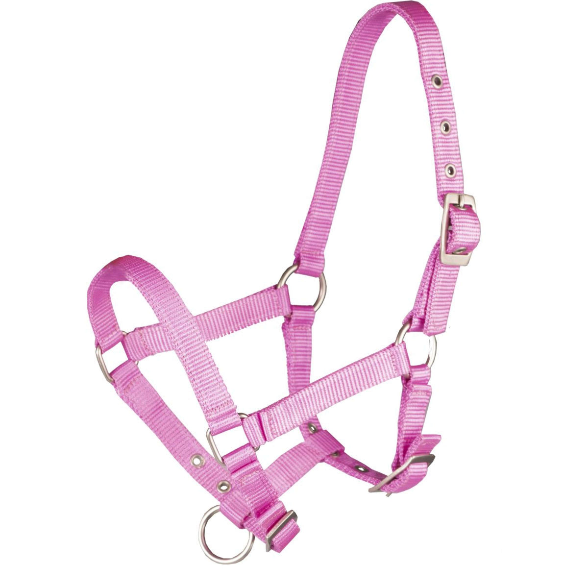 HORKA Capezzina Basic Puledro Hot Pink