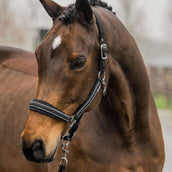 HORKA Set Cavezza Equestrian Pro Crystals & Pearls Nero