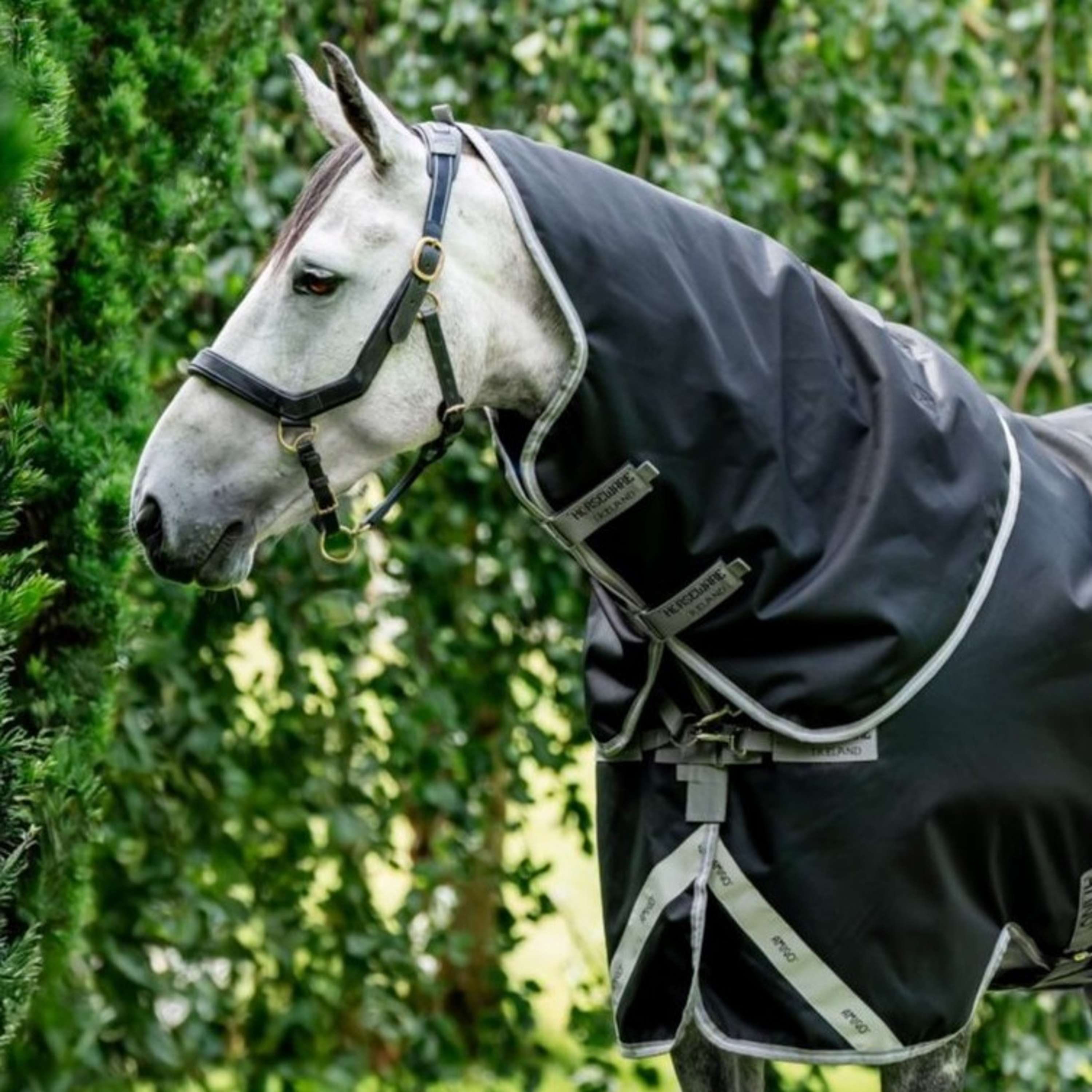 Amigo Copricollo 1200D XL 0g Nero/Grigio Titanio/Argento
