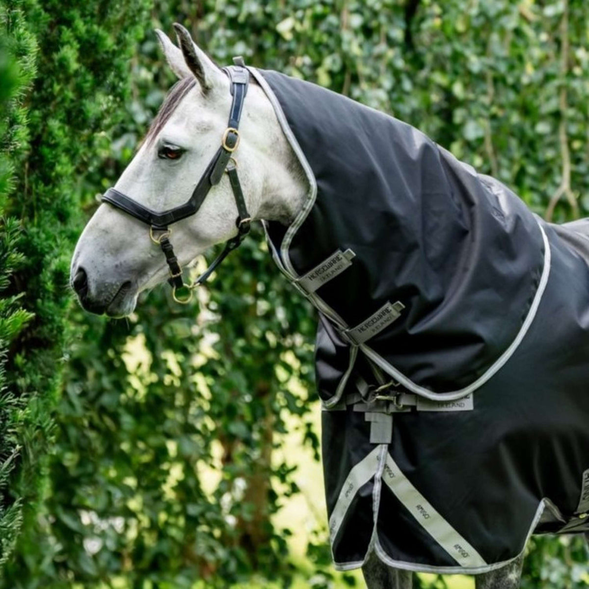 Amigo Copricollo 1200D XL 0g Nero/Grigio Titanio/Argento
