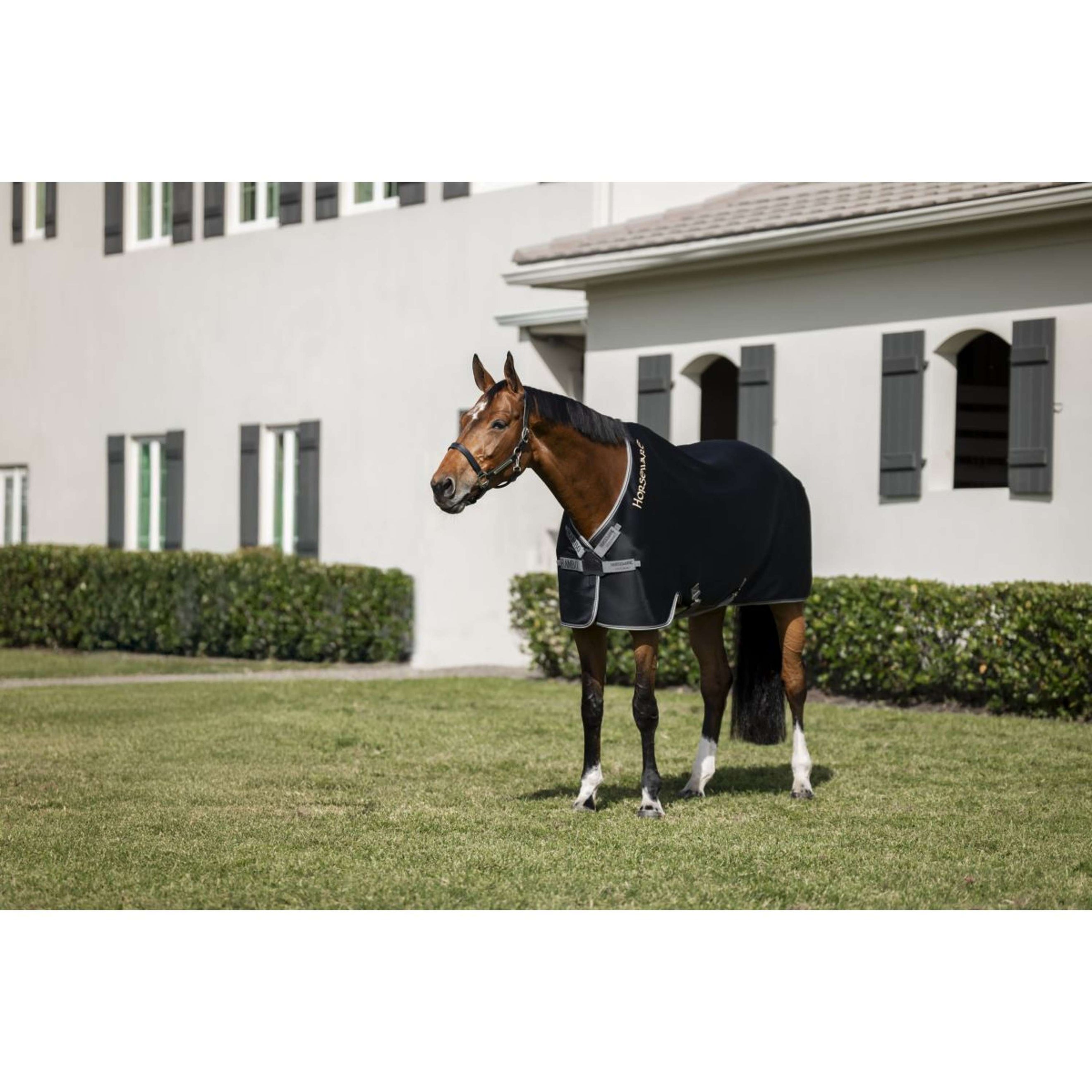 Rambo Airmax Cooler Nero/Grigio temporale/Argento