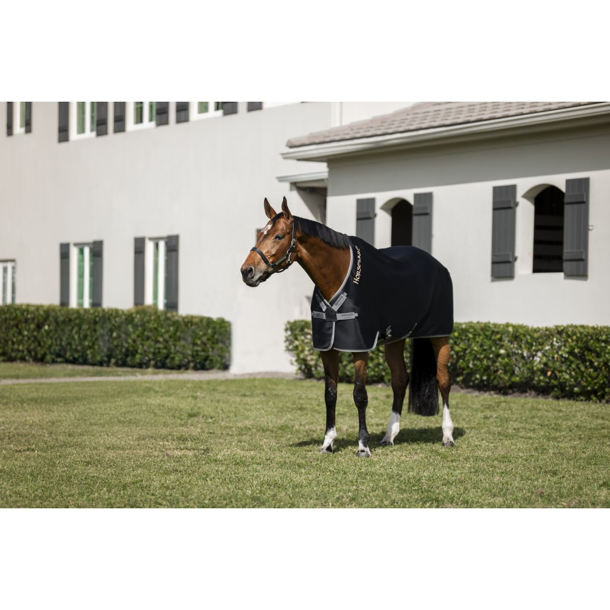 Rambo Airmax Cooler Nero/Grigio temporale/Argento