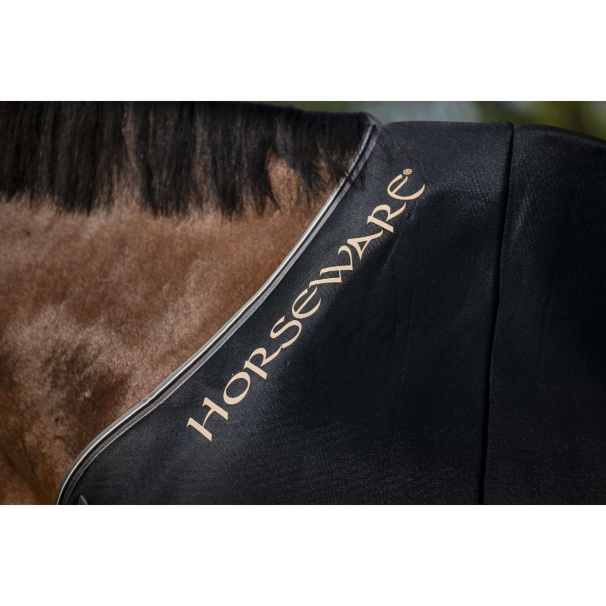 Rambo Airmax Cooler Nero/Grigio temporale/Argento