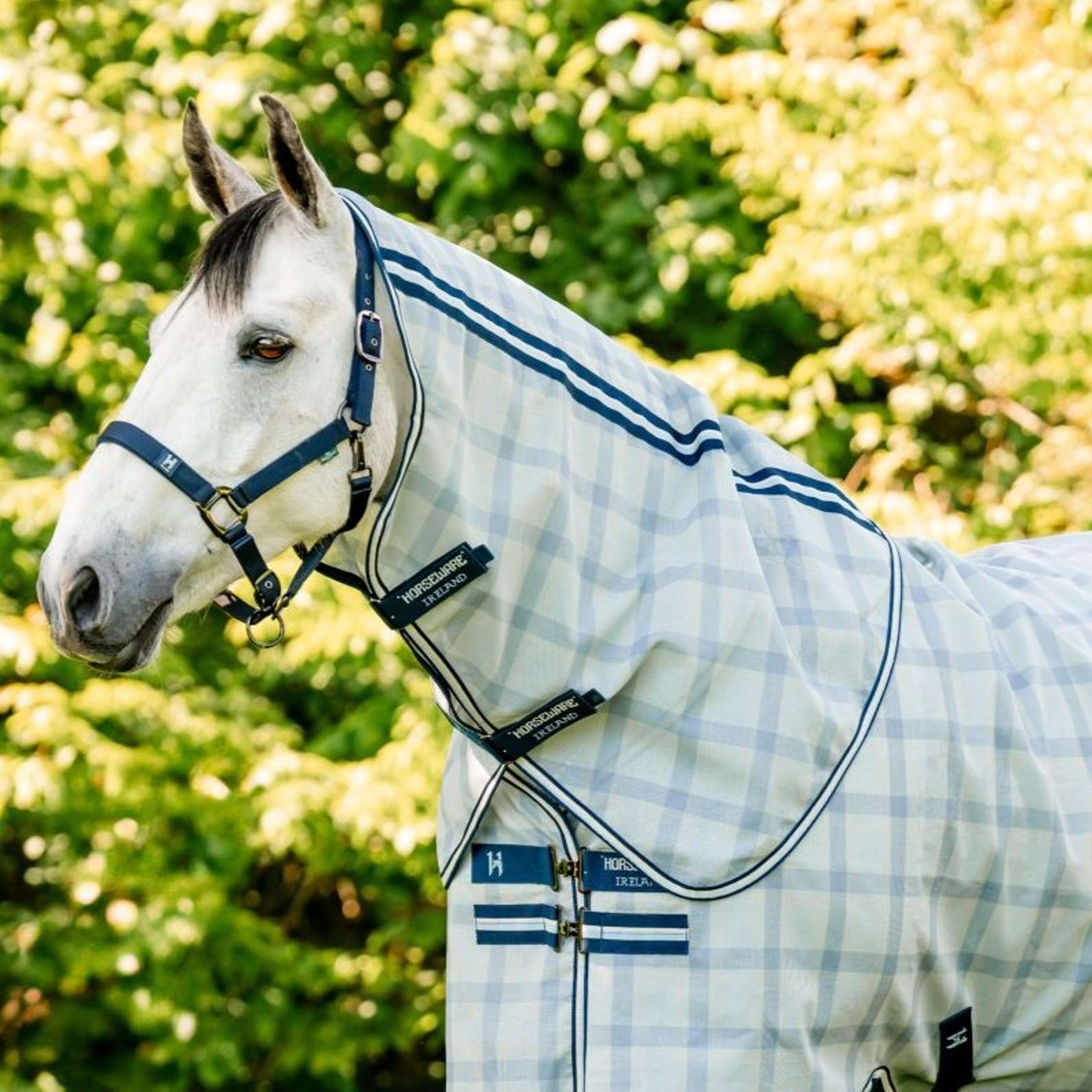 Horseware Copricollo Newmarket Marina di Witney